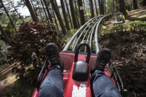 mountain coaster unique things to do in gatlinburg for adults
